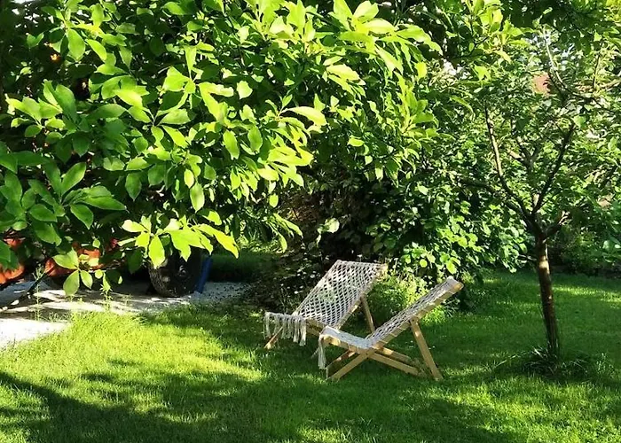 The Trailer, Comfort *