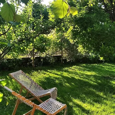 The Trailer, Comfort Apartment *