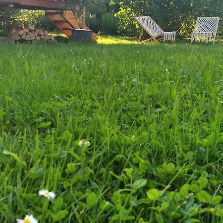 The Trailer, Comfort *