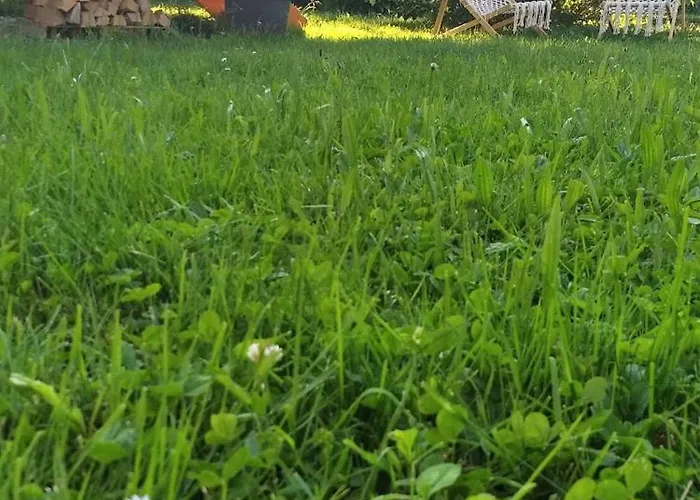 The Trailer, Comfort *