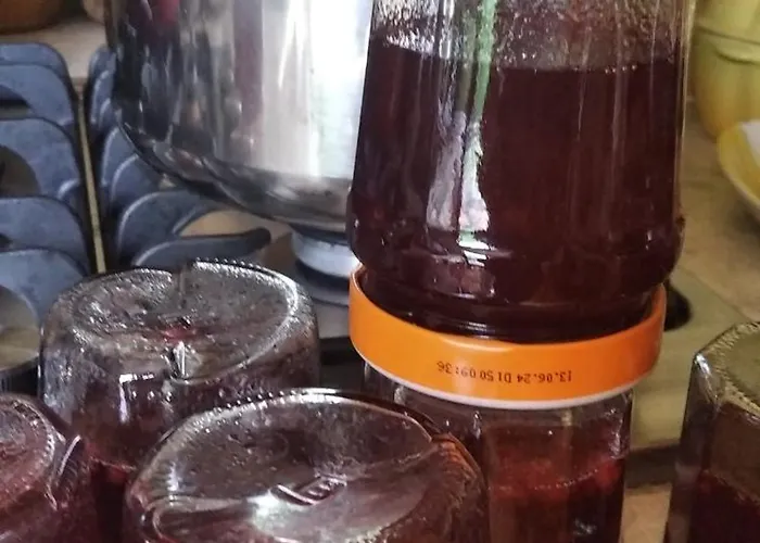 The Trailer, Comfort Appartement Aix-les-Bains